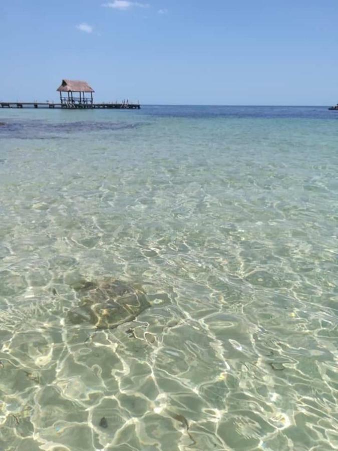 Апартаменти Torre Aguamarina Кампече Екстер'єр фото